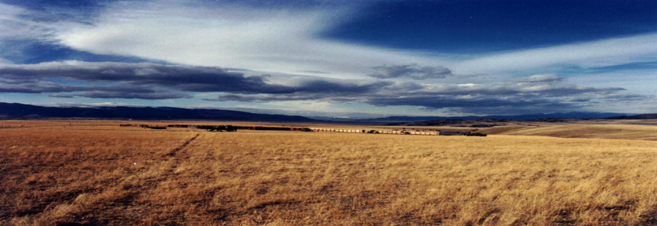 Moving cattle at the West End, Sarah Faith Ranch, Broadwater County, Montana, USA. Circa 2002.